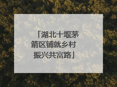 湖北十堰茅箭区铺就乡村振兴共富路