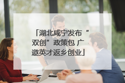 湖北咸宁发布“双创”政策包 广邀英才返乡创业