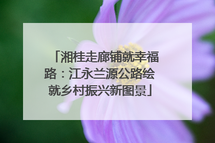 湘桂走廊铺就幸福路：江永兰源公路绘就乡村振兴新图景