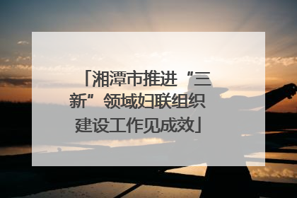 湘潭市推进“三新”领域妇联组织建设工作见成效