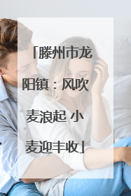 滕州市龙阳镇：风吹麦浪起 小麦迎丰收