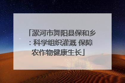 漯河市舞阳县保和乡：科学组织灌溉 保障农作物健康生长