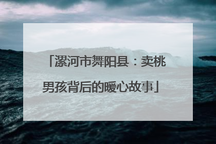 漯河市舞阳县：卖桃男孩背后的暖心故事