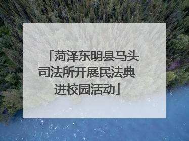 菏泽东明县马头司法所开展民法典进校园活动