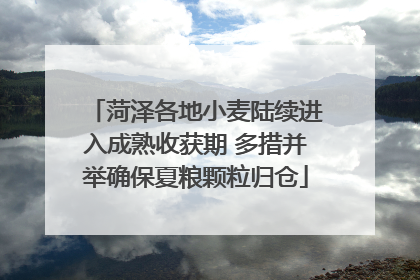 菏泽各地小麦陆续进入成熟收获期 多措并举确保夏粮颗粒归仓