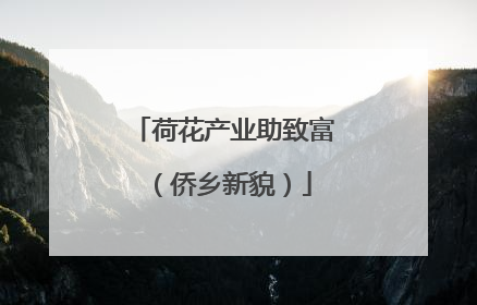 荷花产业助致富（侨乡新貌）