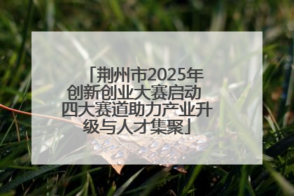 荆州市2025年创新创业大赛启动 四大赛道助力产业升级与人才集聚