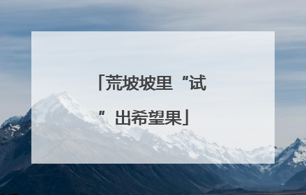 荒坡坡里“试”出希望果