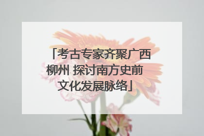 考古专家齐聚广西柳州 探讨南方史前文化发展脉络