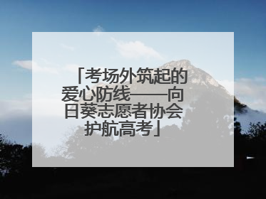 考场外筑起的爱心防线——向日葵志愿者协会护航高考