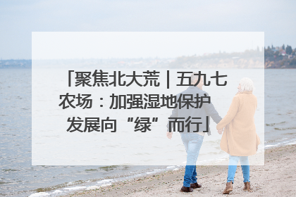 聚焦北大荒｜五九七农场：加强湿地保护 发展向“绿”而行