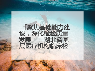 聚焦基础能力建设，深化检验质量发展——湖北省基层医疗机构临床检验质量控制培训班（孝感站）成功举办