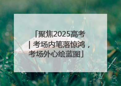 聚焦2025高考｜考场内笔落惊鸿，考场外心绘蓝图