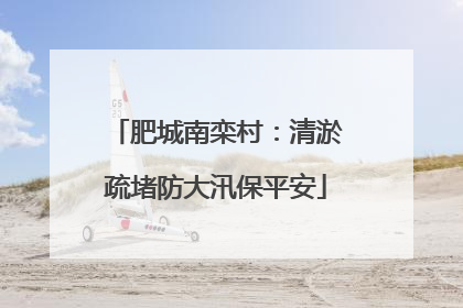 肥城南栾村：清淤疏堵防大汛保平安