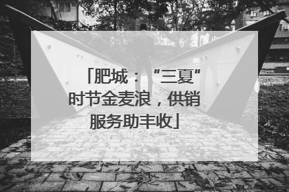 肥城：“三夏”时节金麦浪，供销服务助丰收