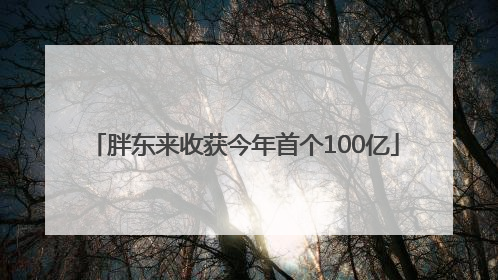 胖东来收获今年首个100亿