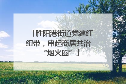 胜阳港街道党建红纽带，串起商居共治 “烟火圈”