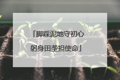 脚踩泥地守初心 躬身田垄担使命