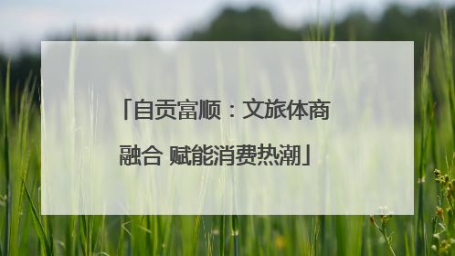 自贡富顺：文旅体商融合 赋能消费热潮