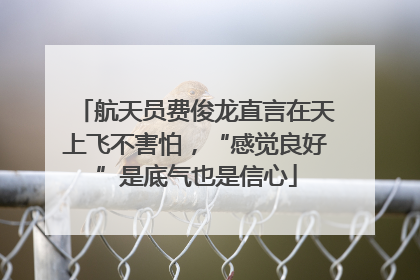 航天员费俊龙直言在天上飞不害怕，“感觉良好”是底气也是信心
