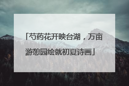 芍药花开映台湖，万亩游憩园绘就初夏诗画