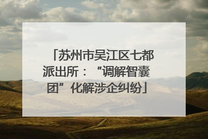 苏州市吴江区七都派出所：“调解智囊团”化解涉企纠纷