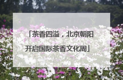 茶香四溢，北京朝阳开启国际茶香文化周
