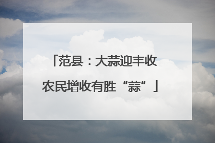 范县：大蒜迎丰收 农民增收有胜“蒜”
