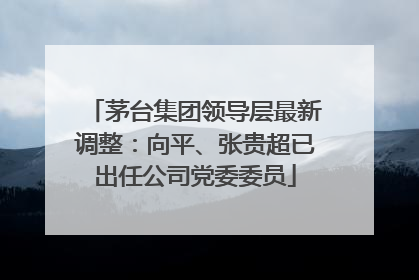 茅台集团领导层最新调整：向平、张贵超已出任公司党委委员
