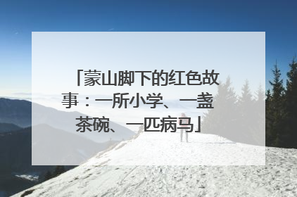 蒙山脚下的红色故事：一所小学、一盏茶碗、一匹病马