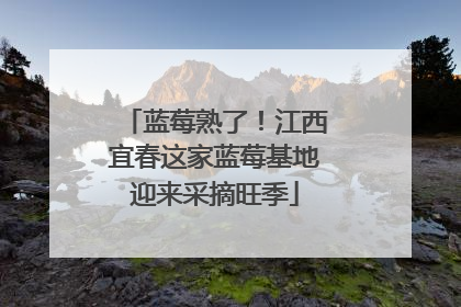 蓝莓熟了！江西宜春这家蓝莓基地迎来采摘旺季