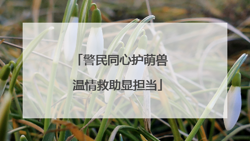 警民同心护萌兽 温情救助显担当