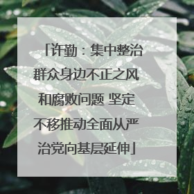 许勤：集中整治群众身边不正之风和腐败问题 坚定不移推动全面从严治党向基层延伸