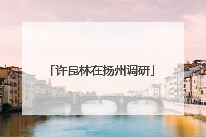 许昆林在扬州调研