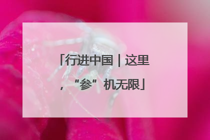 行进中国｜这里，“参”机无限