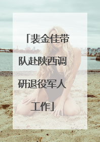 裴金佳带队赴陕西调研退役军人工作