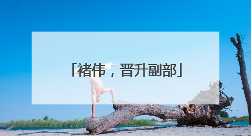褚伟，晋升副部