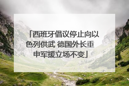 西班牙倡议停止向以色列供武 德国外长重申军援立场不变