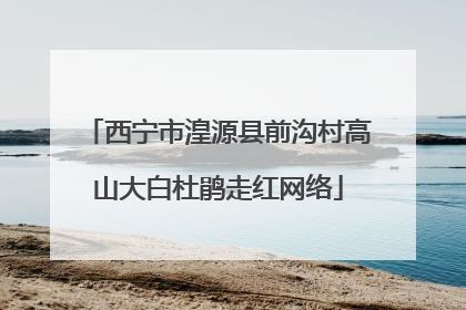 西宁市湟源县前沟村高山大白杜鹃走红网络