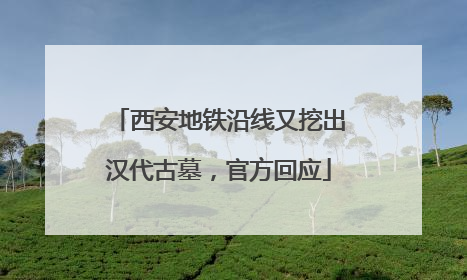 西安地铁沿线又挖出汉代古墓，官方回应