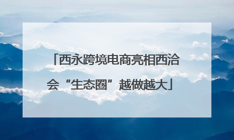 西永跨境电商亮相西洽会“生态圈”越做越大