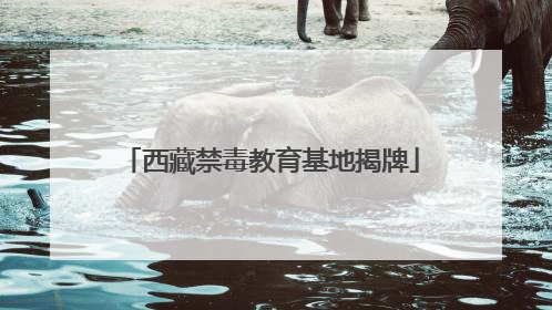 西藏禁毒教育基地揭牌