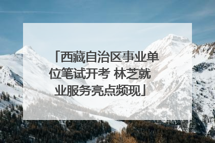 西藏自治区事业单位笔试开考 林芝就业服务亮点频现