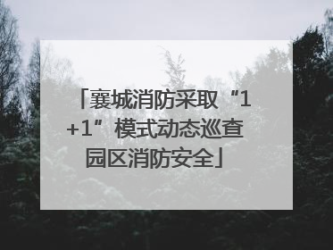 襄城消防采取“1+1”模式动态巡查园区消防安全