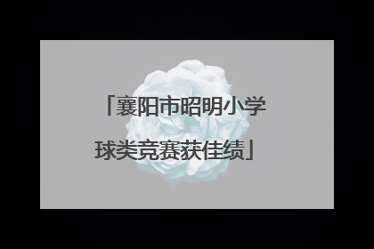 襄阳市昭明小学球类竞赛获佳绩