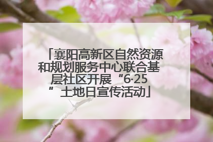 襄阳高新区自然资源和规划服务中心联合基层社区开展“6·25”土地日宣传活动