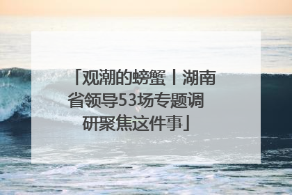 观潮的螃蟹丨湖南省领导53场专题调研聚焦这件事