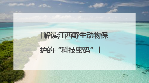 解读江西野生动物保护的“科技密码”