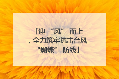 迎 “风” 而上，全力筑牢抗击台风 “蝴蝶” 防线