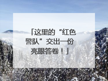 这里的“红色警队”交出一份亮眼答卷！